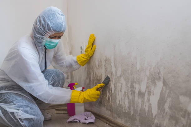 Best Home Mold Removal  in Ransom Canyon, TX