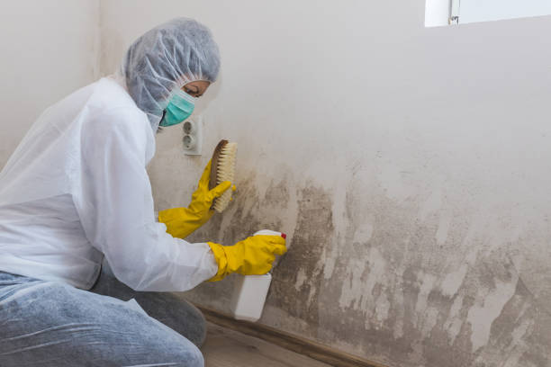 Best Emergency Mold Removal  in Ransom Canyon, TX