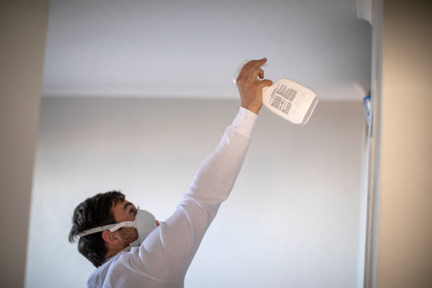 Best Mold Cleaning Services  in Ransom Canyon, TX