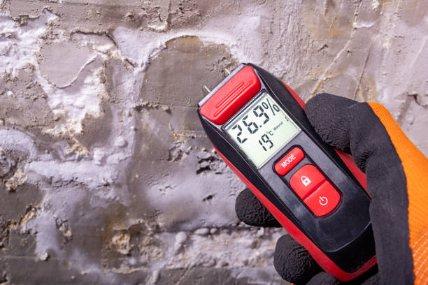 Best Mold Removal Near Me  in Ransom Canyon, TX
