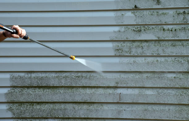 Best Commercial Mold Removal  in Ransom Canyon, TX