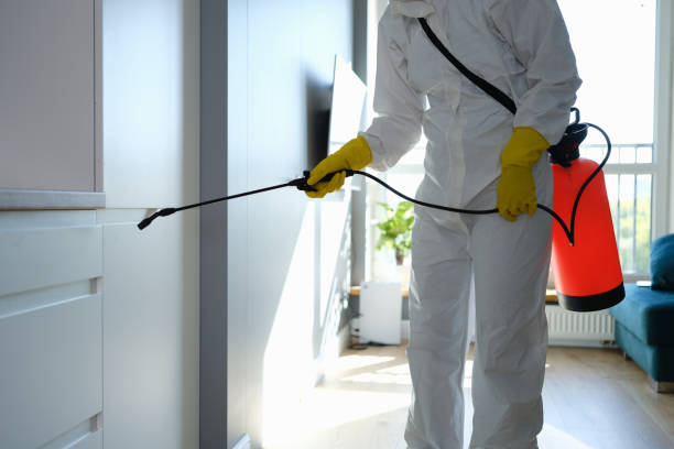 Best Mold Testing  in Ransom Canyon, TX