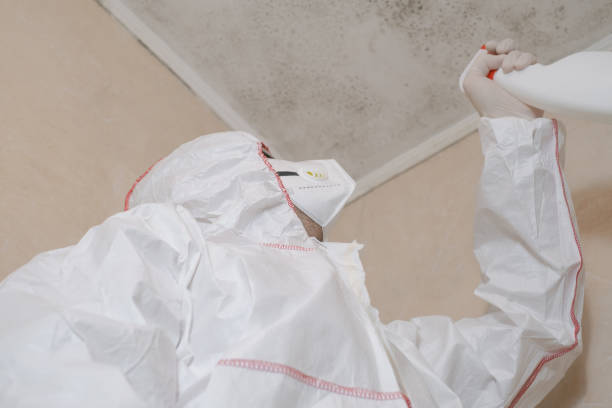 Best Best Mold Removal Companies  in Ransom Canyon, TX