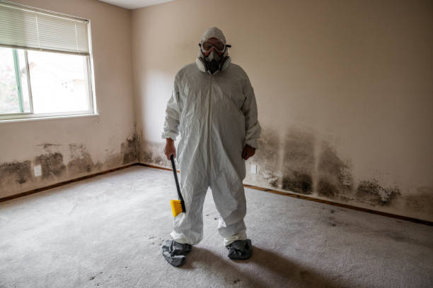 Best Office Mold Removal Services  in Ransom Canyon, TX